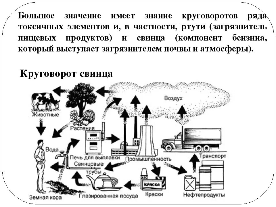 Источники естественного поступления серы в атмосферу