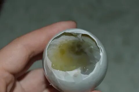 Куриная порча