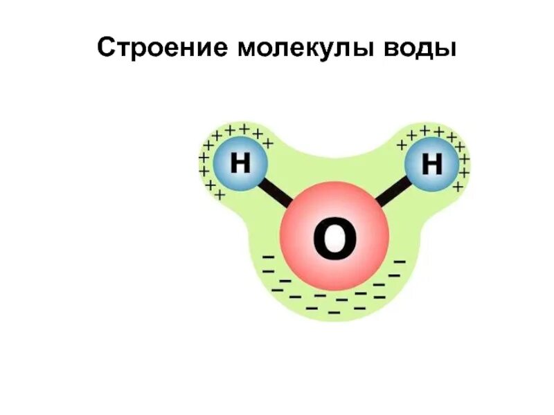 Какие связи есть в воде. Строение молекулы. Строение воды. Структура молекулы воды. Схема строения молекулы.