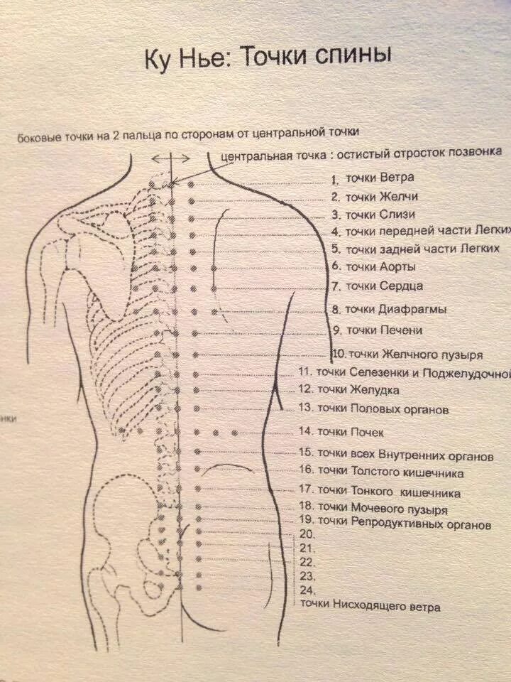 Акупунктура тела человека схема болевые точки. Точечный массаж спины схема точек. Точки на спине для массажа для расслабления мышц. Активные точки на спине акупунктура.