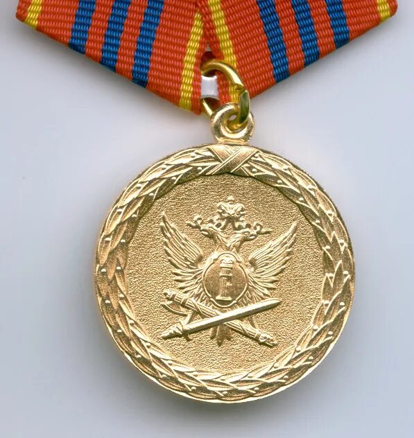 Награда за выслугу. Медаль за выслугу 10 ФСИН. Медаль за выслугу 10 лет ФСИН. Медаль за безупречную службу ФСИН. Медаль за службу ФСИН 1 степени.