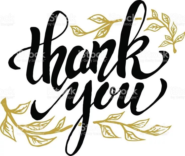 Thank you calligraphy. Спасибо леттеринг. Thank you vector. Thanks иллюстрации. Thank you lettering.