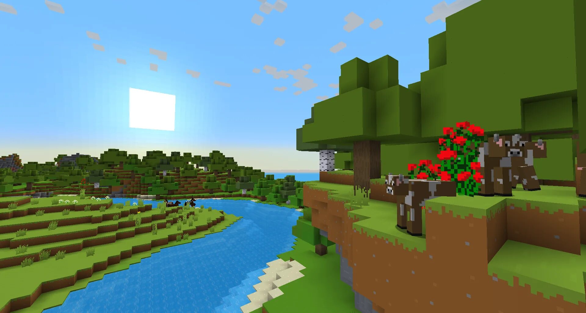 Minecraft 12 net