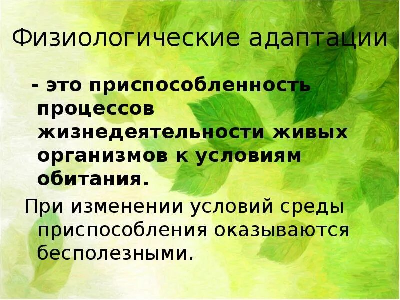 Физиологические адаптации. Физиологические приспособления. Физиологическая адаптация это в биологии. Физиологические адаптации презентация. Группы экологической адаптации