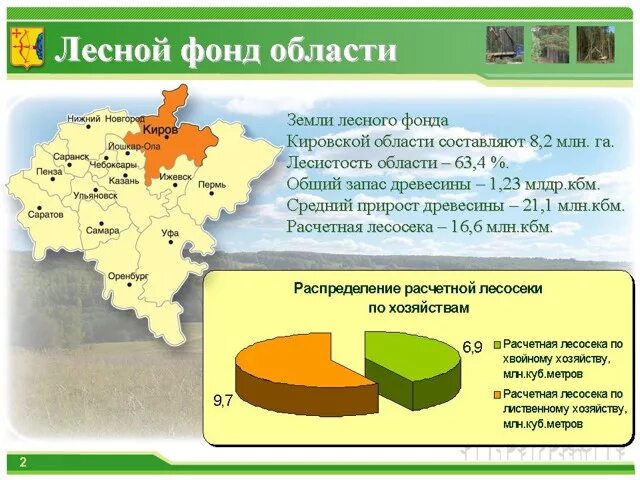 Регионы россии богатые лесными ресурсами. Лесной фонд. Лесные ресурсы Калининградской области. Лесные ресурсы Кировской области. Состав лесного фонда.