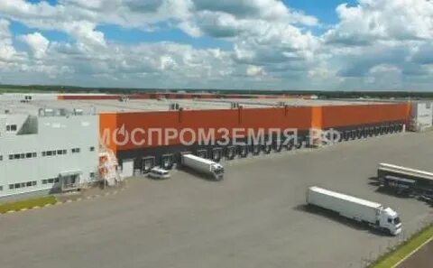 Сц сынково
