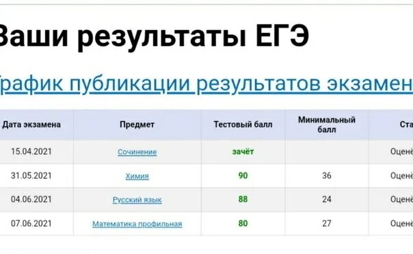 Сколько дней до 5 июня 2024 осталось. Результаты ЕГЭ. Результаты ЕГЭ 100 баллов. Результаты ЕГЭ по русскому баллы. Чек ЕГЭ.