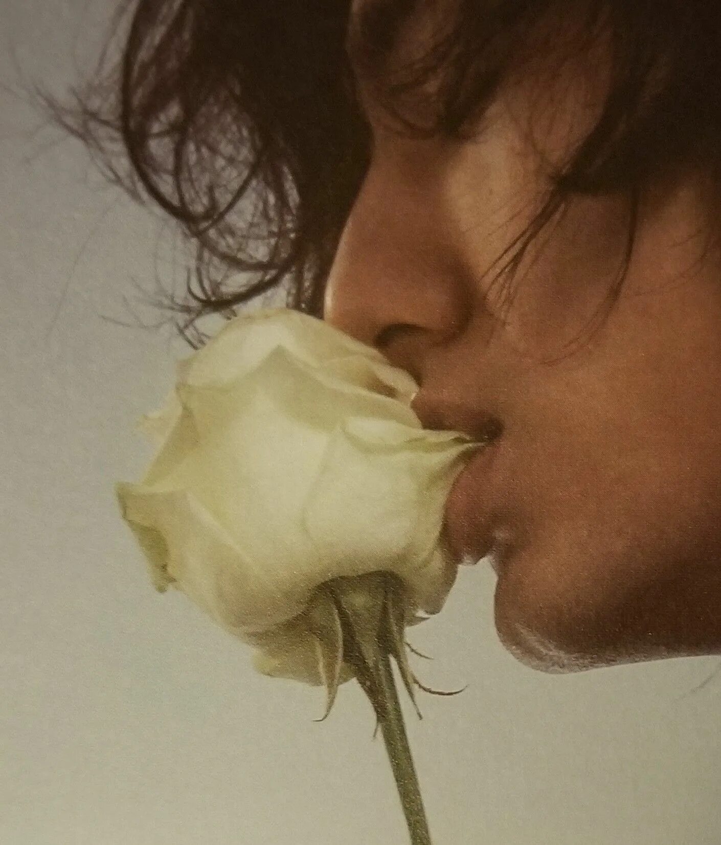 Shinunoga e-wa fujii fuji kaze. Fujii kaze. Fujii kaze певец. Фуджи казе. 藤井 風(fujii kaze).