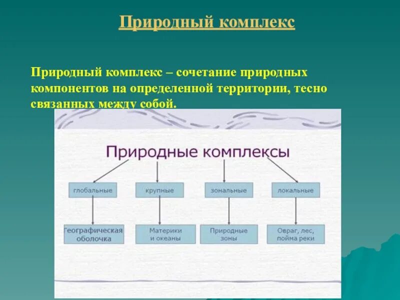 Чем природный комплекс отличается от природного компонента