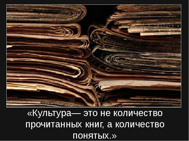 Количество понятых. Культура это не количество прочитанных книг. культура - количестве прочитанных книг, а в количестве понятых. культура - это не количество прочитанных, а количество понятых. культура это не количество прочитанных книг а количество понятых.