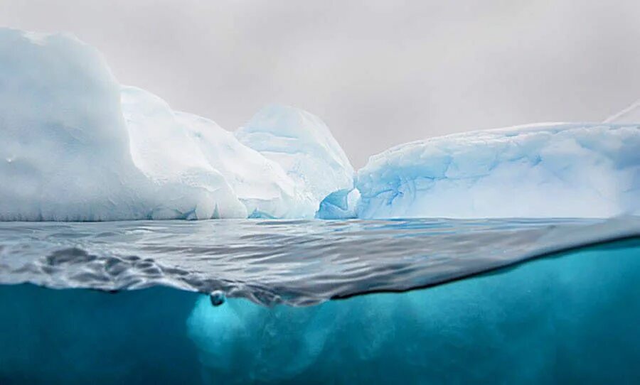 Ледяное море. Вода подо льдом. Воды Антарктиды. Арктика под водой. Под ледовый