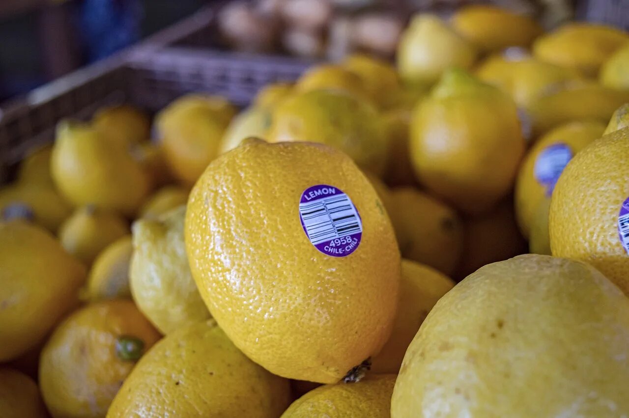 Цитрон шишкан. Самый кислый фрукт в мире. Самый кислый фрукт в мире. Сингапур фрукт дуриан. Манго папайя маракуйя.