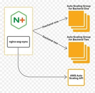 Nginx service