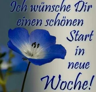 Der woche