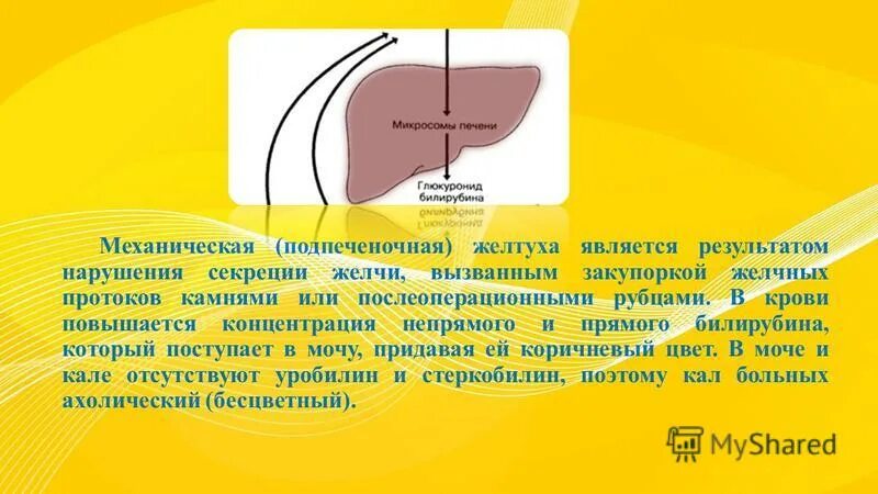 Желчный пузырь анализы. Билирубин после удаления желчного пузыря. Билирубин после удаления желчного пузыря. Желчекаменная болезнь(жкб) симптомы. Лабораторные и инструментальные методы исследования при жкб.