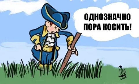 Скосить как пишется правильно