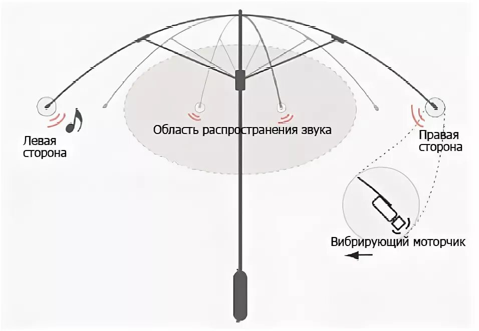 Из чего состоит зонтик. Названия частей зонтика. Строение зонта. Строение зонтика