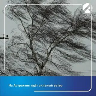 Порывы м с