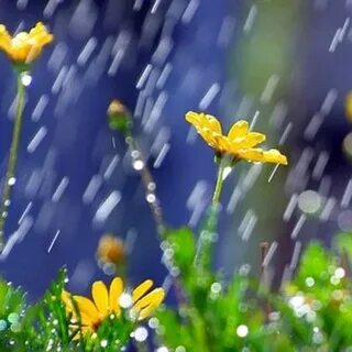 April rain