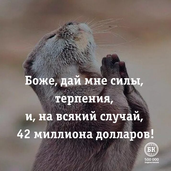 Нету сил терпеть. Дайте мне сил и терпения. Хоспади дай мне сил и терпения. Господи дай терпения. Дайте мне терпения.