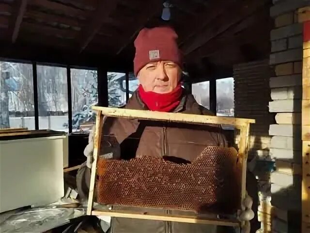Сот 2022