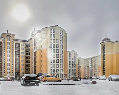 Чайка железнодорожный