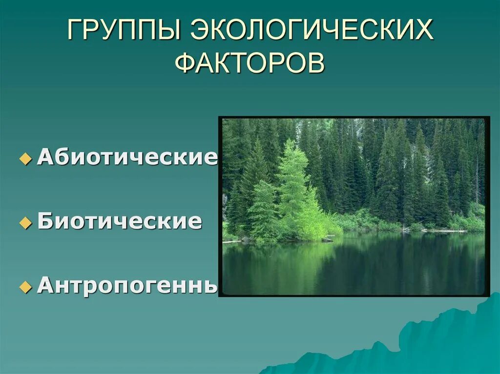 Группы экологических факторов. Экологические факторы. Биотические экологические факторы. Абиотические и биотические факторы. Группы экологических факторов 7 класс