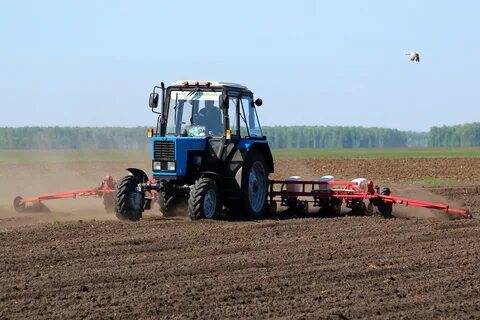 Народный праздник полевые работы