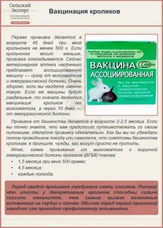 Прививки крольчихам