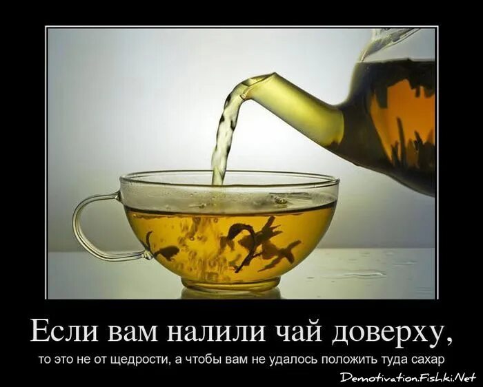 Что такое в душе не чаю