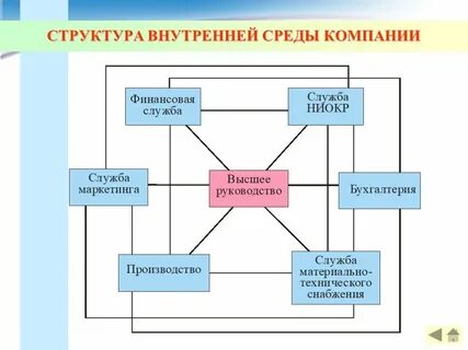 Структура организации какой фактор среды