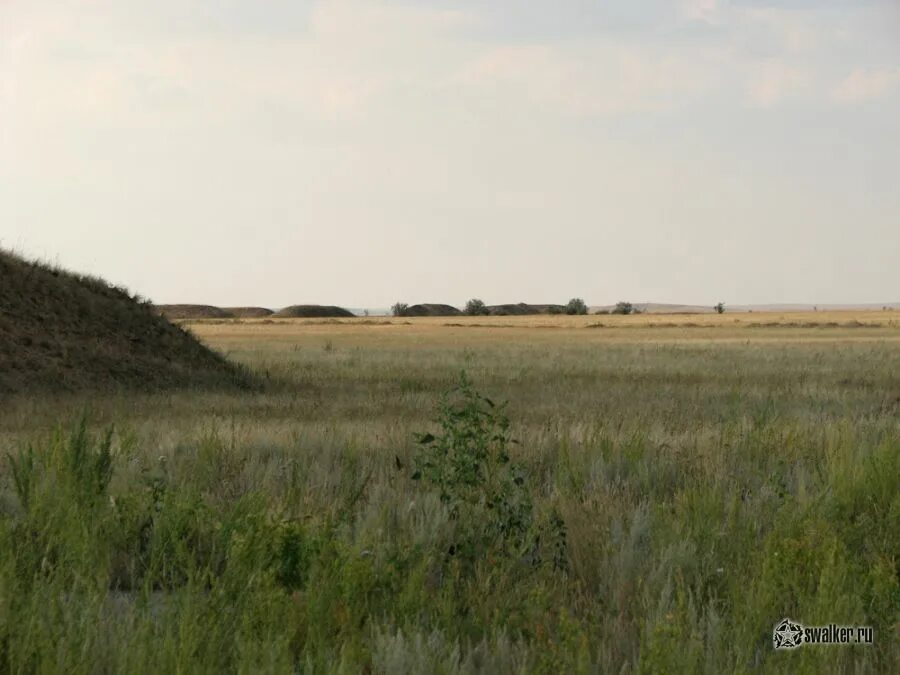 Домбаровский район. Домбаровский поселок. Домбаровский район степь. Домбаровка Оренбургская. Поселок полевой Домбаровский район.