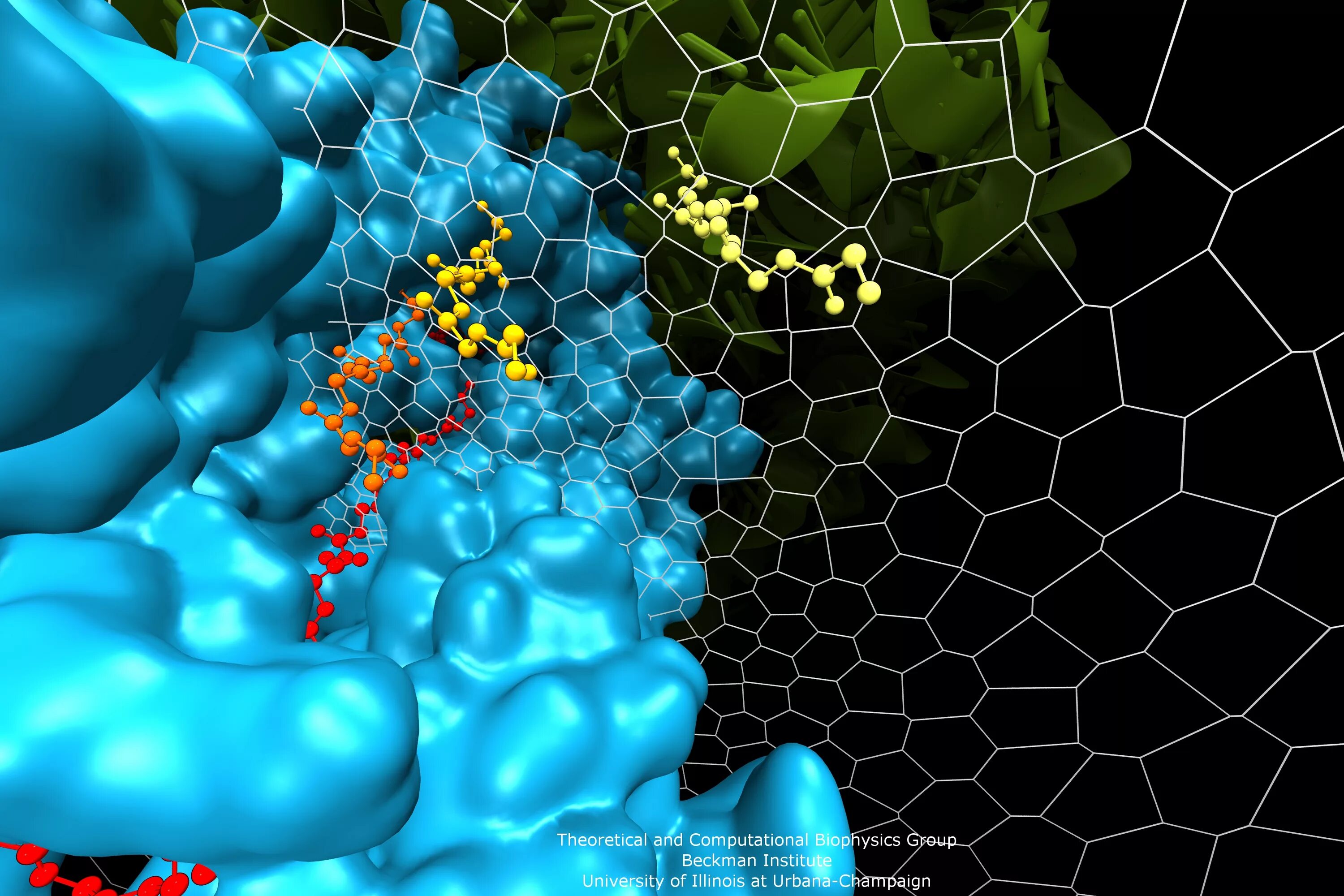 Molecular imaging