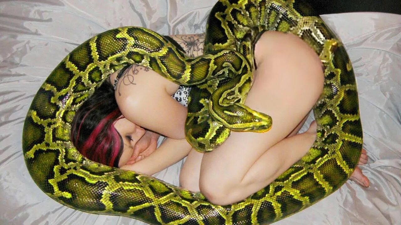 Девушка змея. Девушка и питон. Девушка со змеями. She is snake