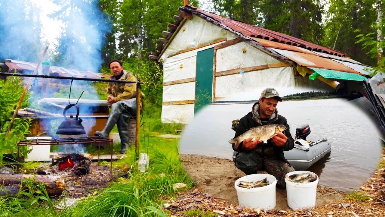 Живем в тайге 1. Жизнь в тайге. Рыбалка ночевка в избушке в тайге. Жизнь в тайге охота и рыбалка отшельники. Рыбалка в тайге ночевка в лесных избушках.