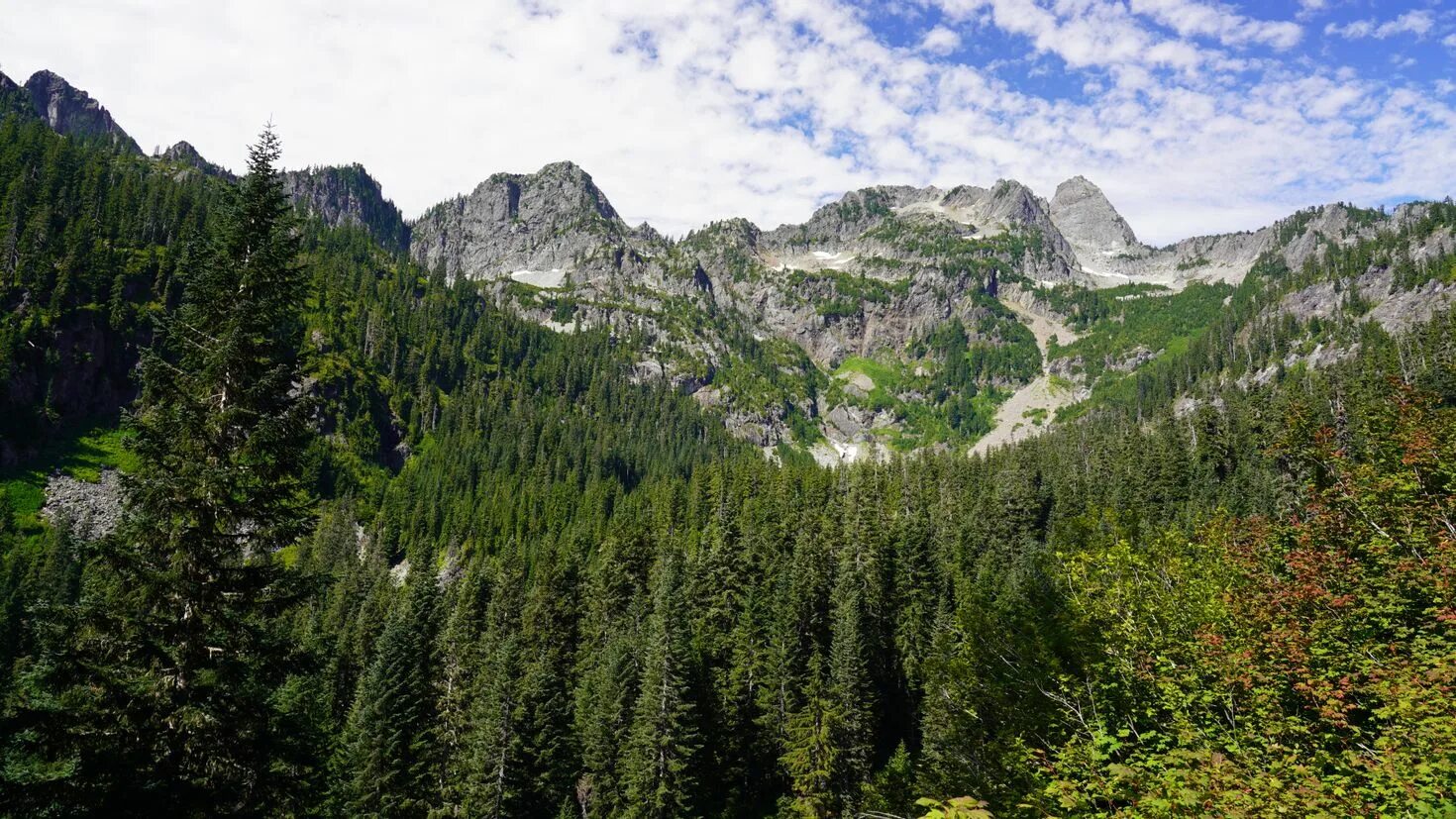 Лес горы. Леса 5 вершин. Природа тайги. Лес сверху. Гималаи лес.