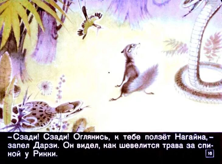 Соседка рики тики тави. Соседка рики тики тави