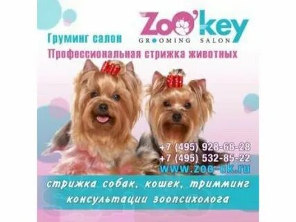 Груминг для собак рязань