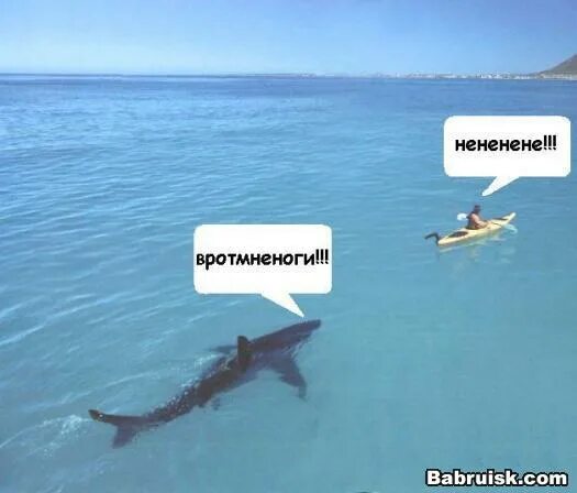 Вротмненоги livejournal журнал. Мем вротмненоги. нененене. вротмненоги. вротмненоги я тебе отослала.