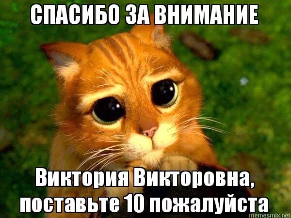 Внимание мем. Спасибо за внимание Шрек. Спасибо за внимание поставьте 10. Спасибо за внимание Виктория Викторовна. Спасибо за внимание Мем кот.