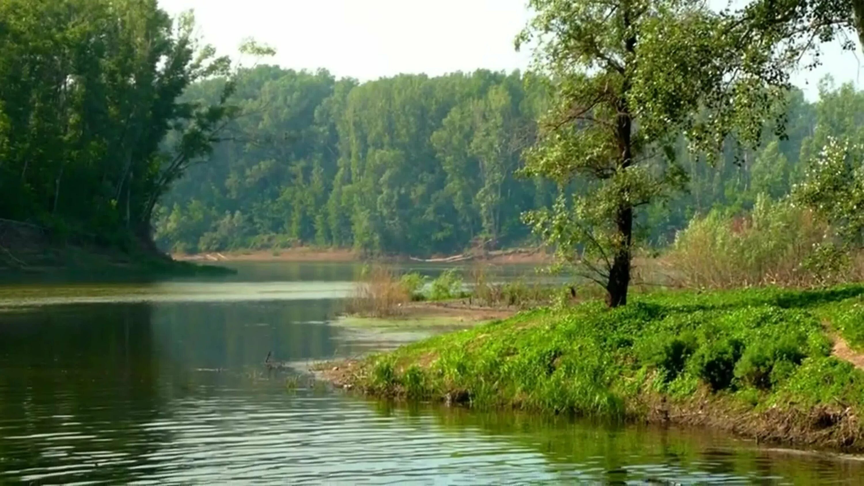 Река Сакмара Оренбургская. Речка Сакмара Оренбург. Баймакский район река Сакмар. Река Сакмара Башкирия. Реки россии оренбург