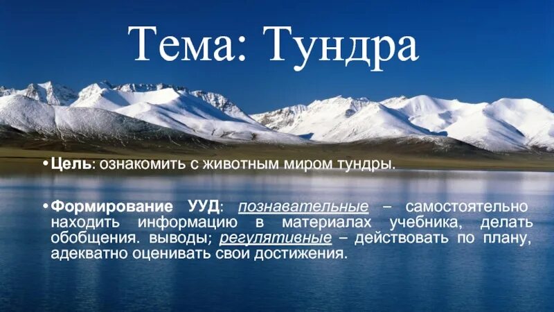 Формирование тундры. Вывод о тундре. цель создания тундры. тундра заключение. выводы на тему тундра.