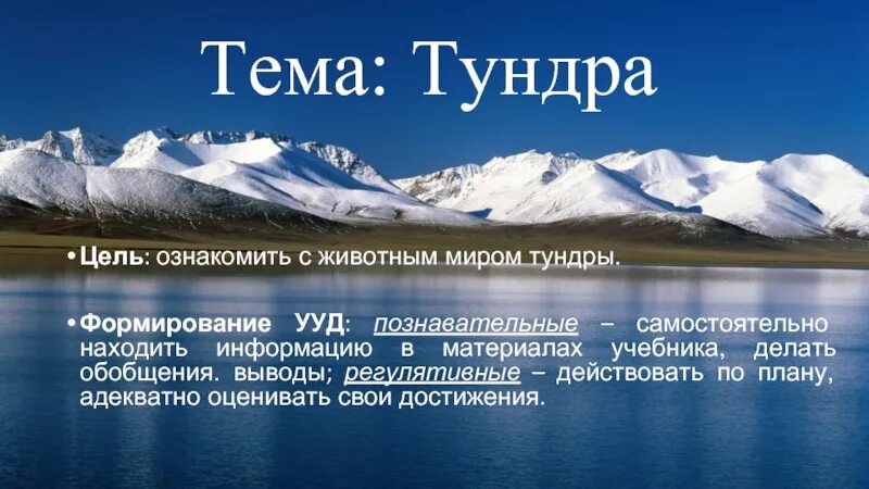 Вывод о тундре. Цель проекта тундры. Тундра учебное пособие. Проект животный мир тундры цели и задачи.