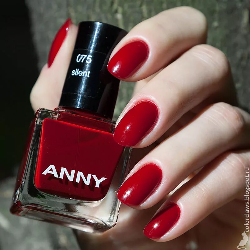 Anny запись. Anny 314.20. Anny 314.25. Anny Травелиста. Anny 276.