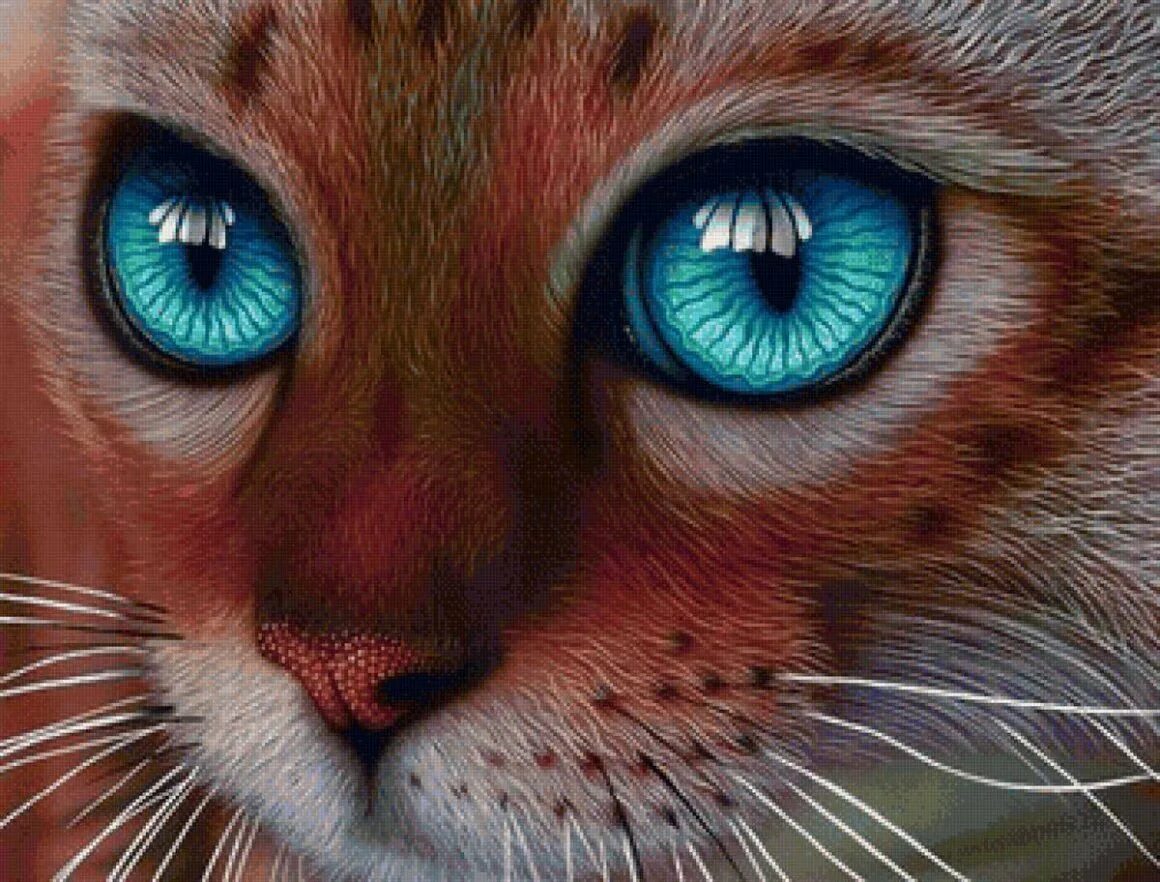 Милые глазки животных. Кошка с красивыми глазами. кот с бирюзовыми глазами. морда кошки с голубыми глазами. глаза животных арт.