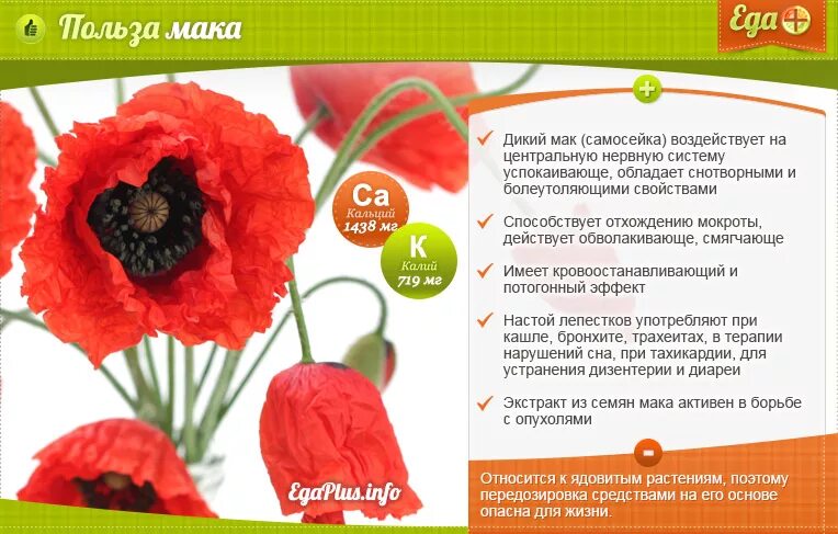 Мак можно беременным в выпечке. Чем полезен мак. мак полезные свойства. мак польза. чем полезен мак для организма.