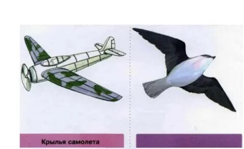 Значение слова крыло