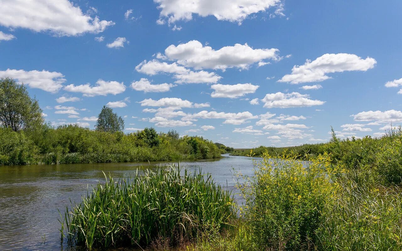 Олым курская область. Река олым. Погода курская область село олым. Храм неопалимая купина село олым. Погода курская область село олым.