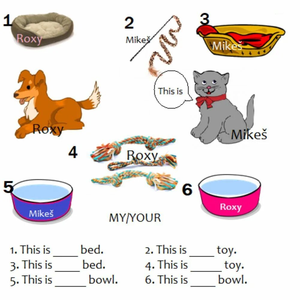 Местоимения англ задания для детей. Possessive adjectives упражнения. Местоимения worksheets for kids. Mine yours his her worksheet. His her worksheet.