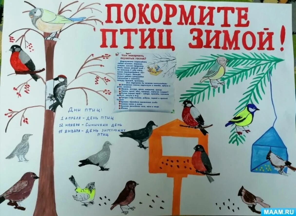 15 января праздник день зимующих птиц. 15 января день птиц. день зимующих птиц россии. 15 января день зимующих птиц россии. развлечение день птиц в старшей группе.